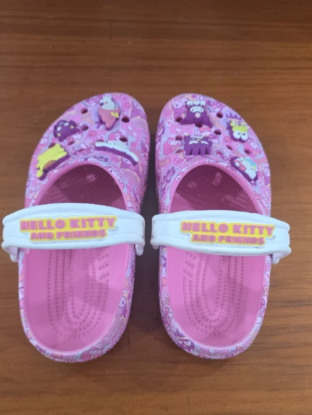 Sanrio Pink Kids Character Clog Sandals with White Strap